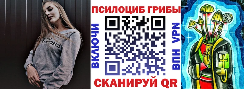 Псилоцибиновые грибы Psilocybe  Сретенск 