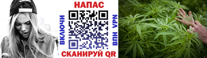 Конопля OG Kush  МЕГА зеркало  Сретенск 
